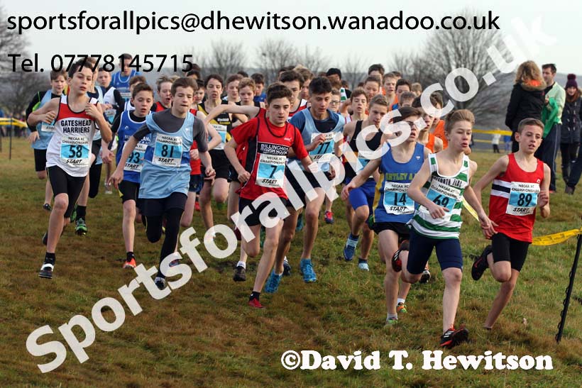 Boys under-13s North Eastern Cross Country, Aykley Heads, Durham. Photo: David T. Hewitson/Sports for All Pics